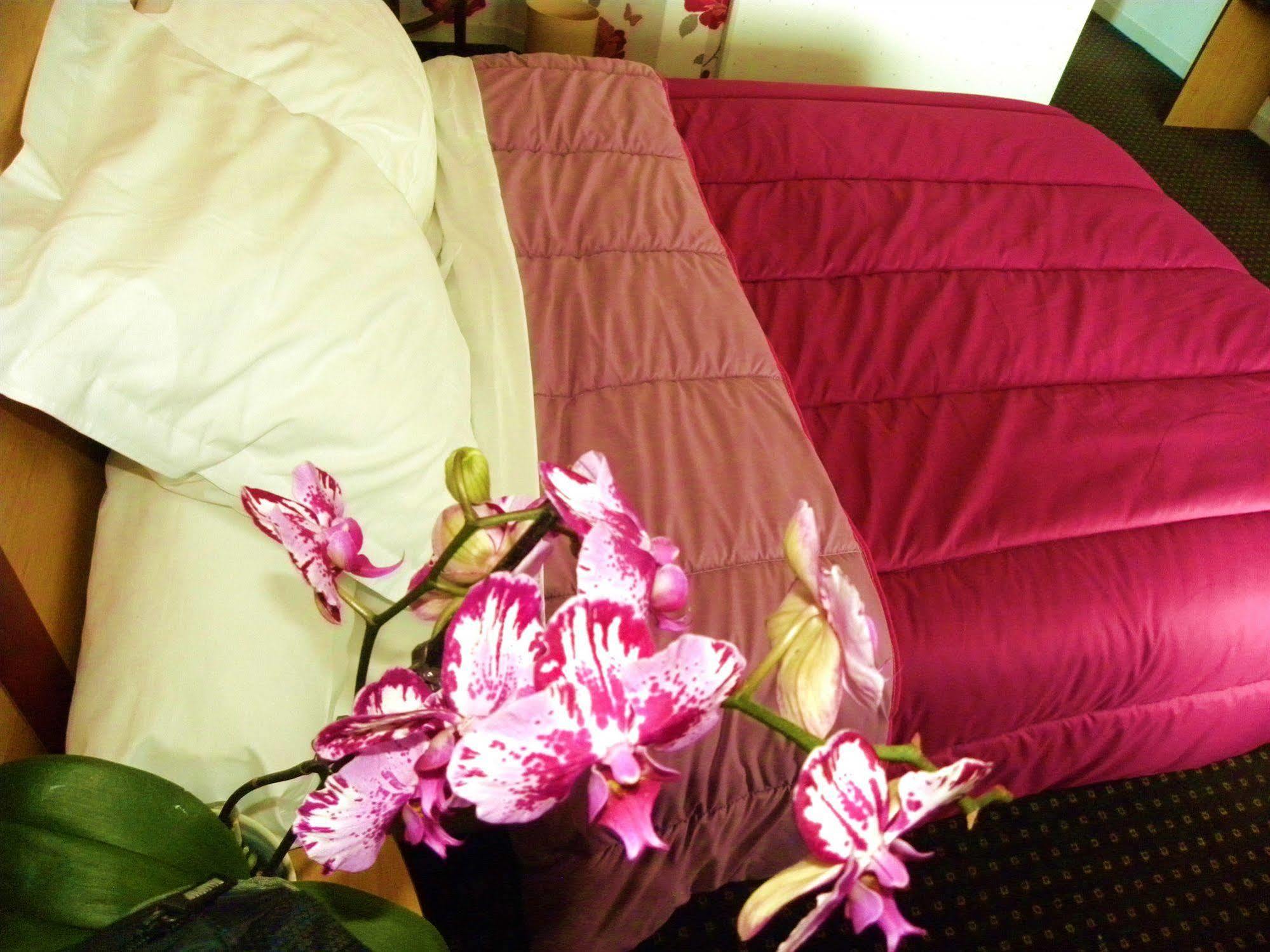 Hotel Ursula Камбо-ле-Бен Екстериор снимка